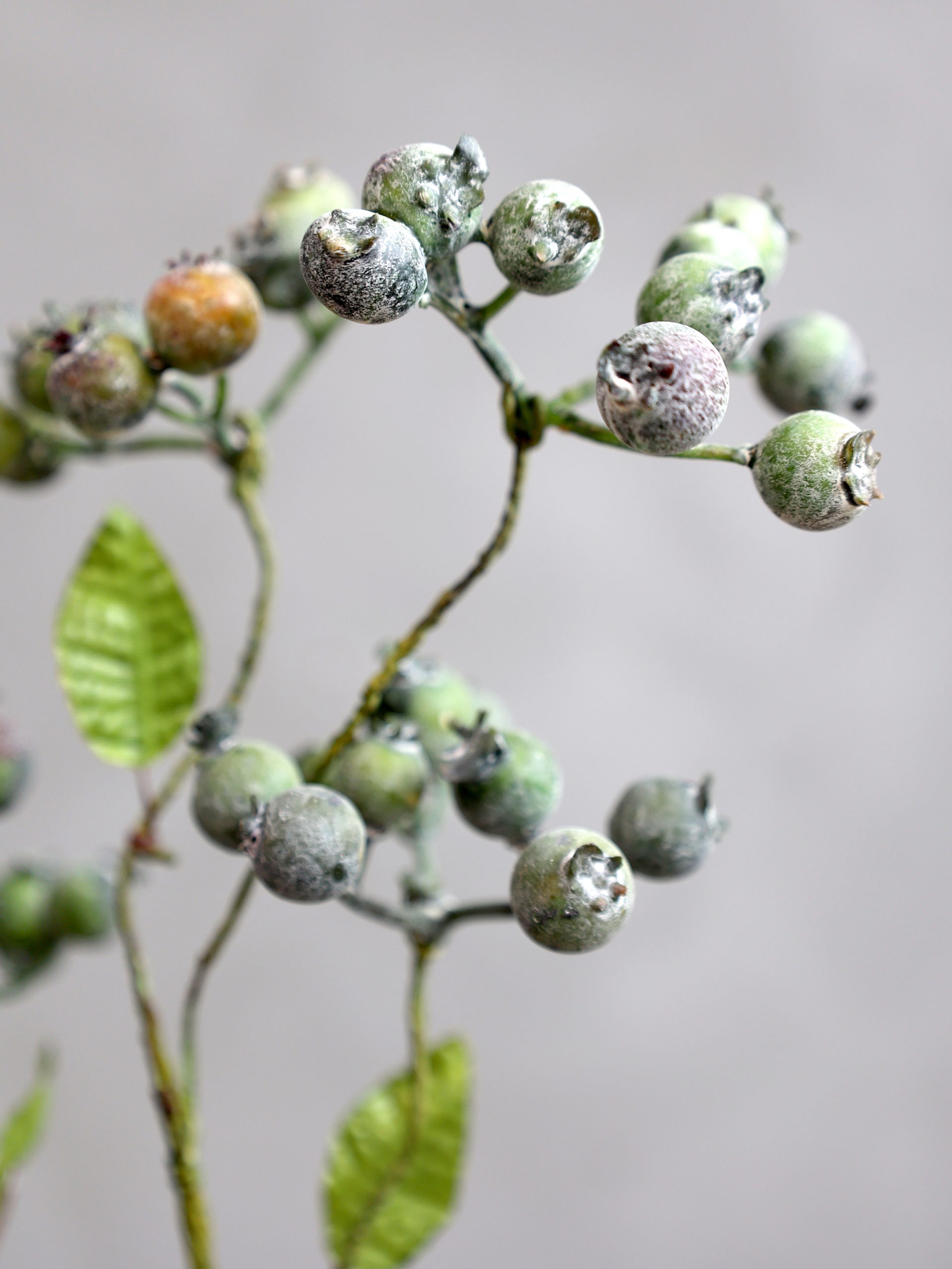 Artificial Winter Berry Stems – Artificial Green